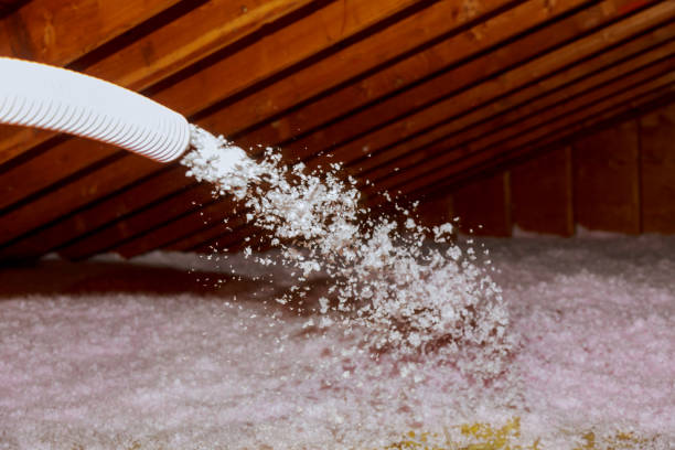 Best Commercial Insulation in Momence, IL