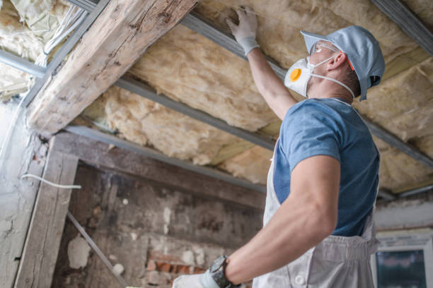 Best Insulation Installation Services in Momence, IL