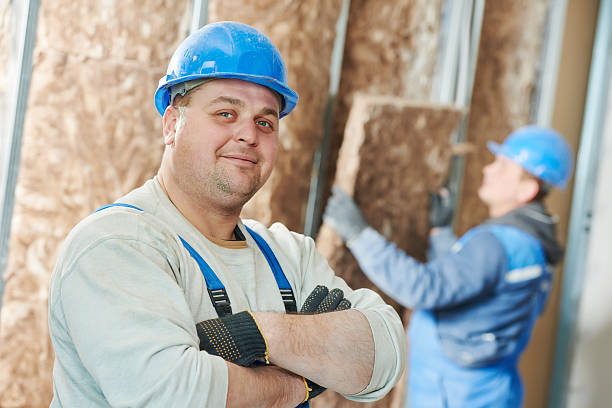 Best Residential Insulation in Momence, IL