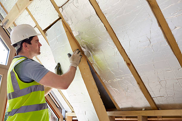 Best Insulation Installation Services in Momence, IL